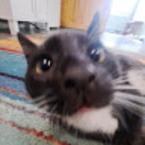 Meet your Posher, Levi